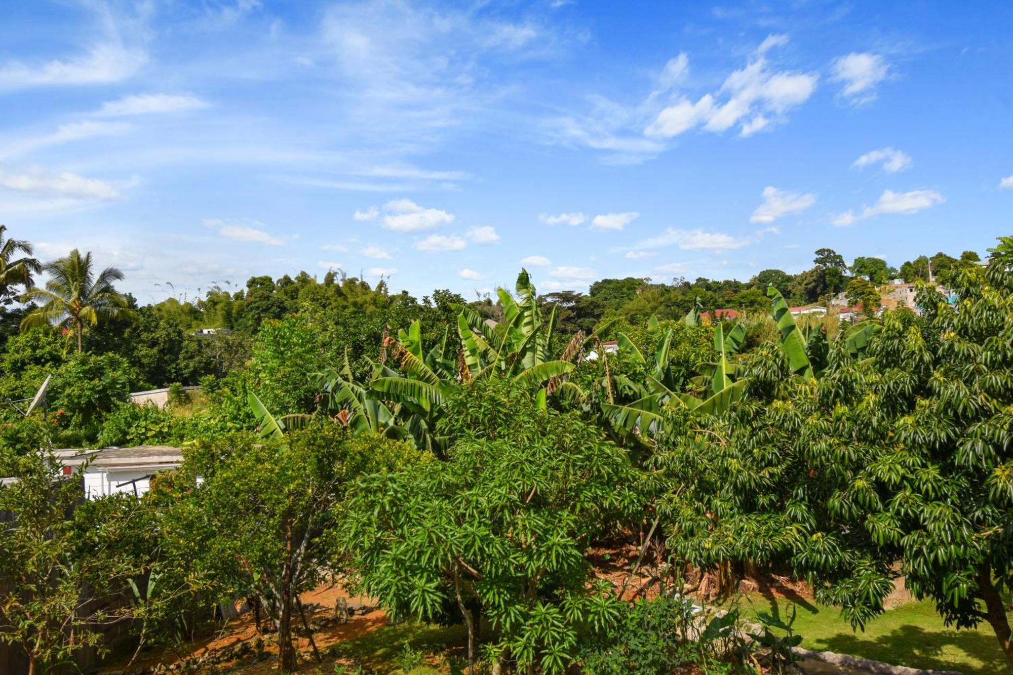 Apartamento Harriott Heights Mandeville Exterior foto