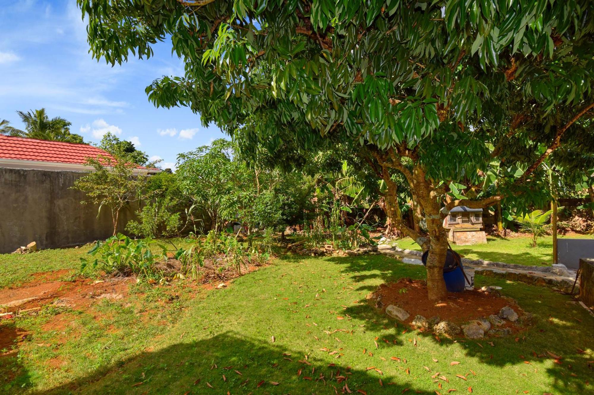 Apartamento Harriott Heights Mandeville Exterior foto